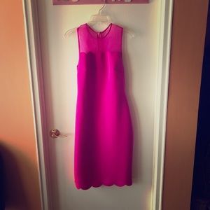 Ted baker bright pink clowva dress